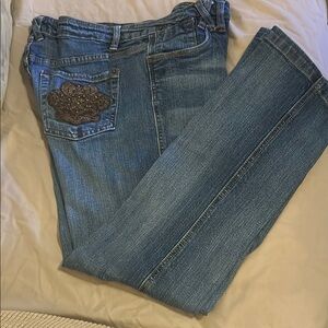 Style & Co. Blue Boot Cut Jeans